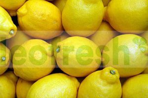 LEMON YELLOW