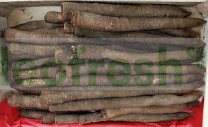 SALSIFY