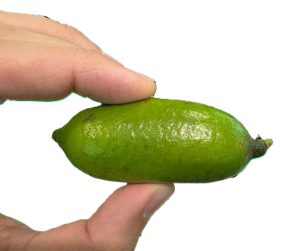 LIME 5KG