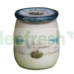 LOW- FAT YOGURT