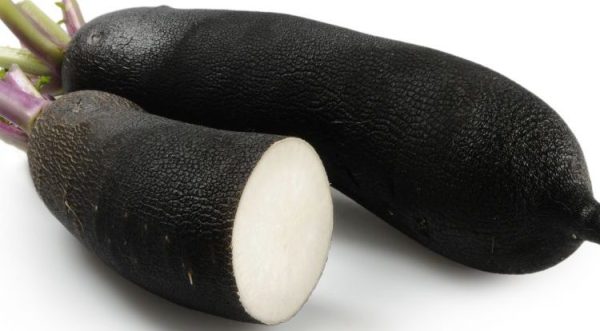 RADISH RED MEAT