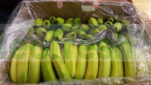 BANANA