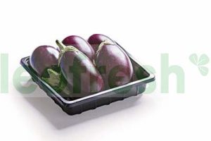 BABY EGGPLANT LONG