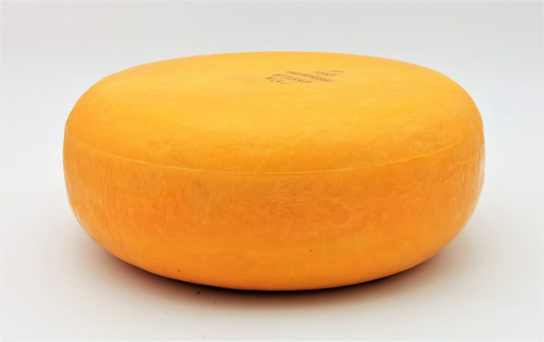 CHEESE GOUDA MUSTARD