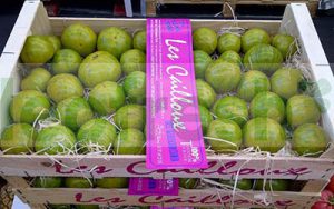 GREEN ZENRA TOMATO