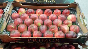 WHITE NECTARINE