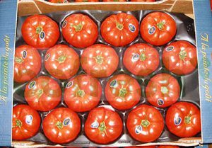 TOMATO 82/102