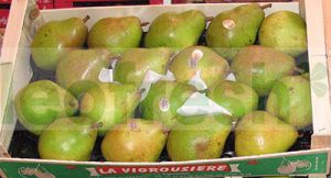 PEAR COMICE