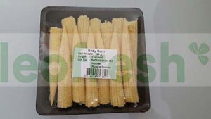 BABY CORN