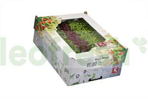 SHISO MIXED