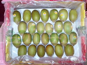 KIWI GOLD