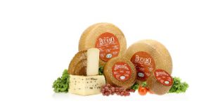 PECORINO CHEESE