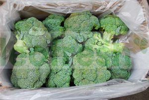 BROCOLI