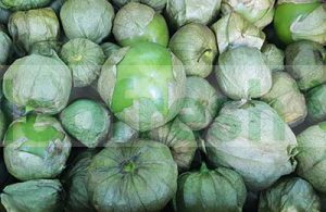 TOMATILLIO