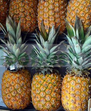 PINEAPPLE BY BOAT