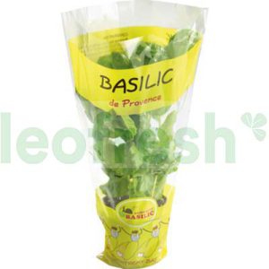 BASIL IN POT
