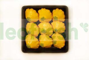 BABY PATIPAN YELLOW