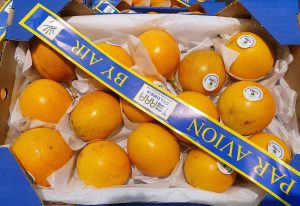 GRANADILLA