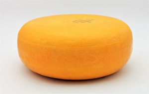 CHEESE GOUDA MUSTARD