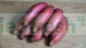 BANANA RED