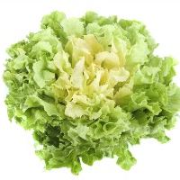 SCAROL SALAD