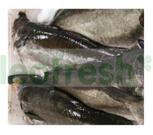 YELLOW POLLACK 2/4 KG
