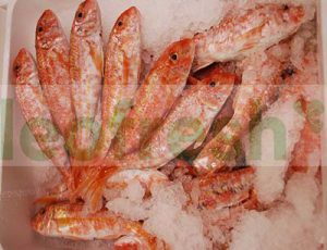 RED MULLET 100/200GR