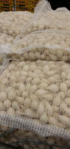 PEARL ONION WHITE