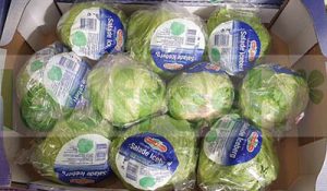 ICEBERG SALAD