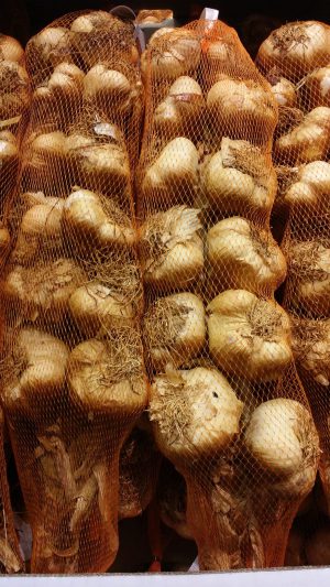 SMOKED GARLIC IN STRING