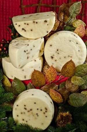 PECORINO