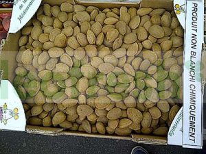 HAZELNUT FRESH