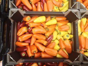 BABY MIXED PEPPER