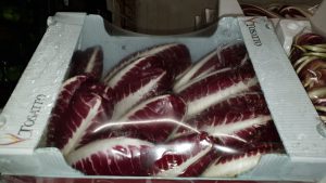 TREVISO OVAL SALAD