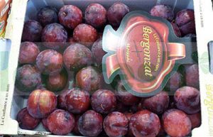 PLUM RED