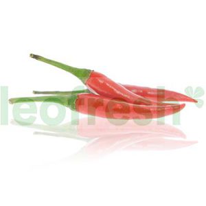BIRD PEPPER x 12BQ