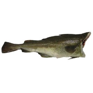 COD 2/3 VDK
