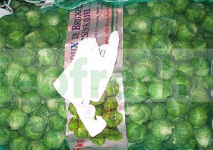 BRUSSELS SPROUT