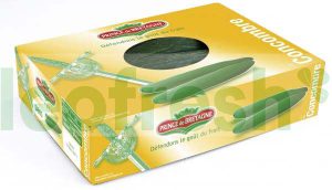 CUCUMBER 5/6