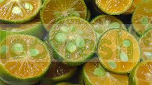 CALAMANCY LEMON