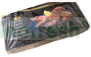 SCAMPI 4/7 5 FRZ