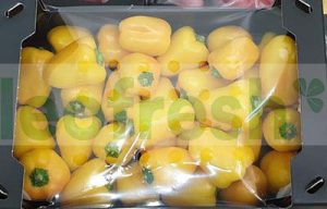 BABY PEPPER YELLOW