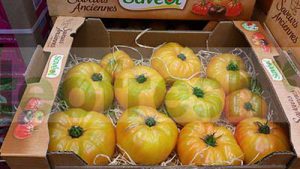 PINEAPPLE TOMATO