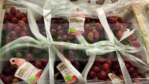 GRAPES RED