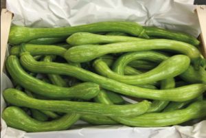 VIOLIN ZUCCHINI