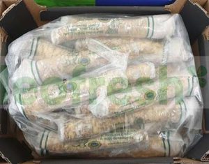 HORSERADISH