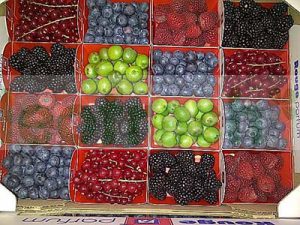 MIXED BERRIES X 16