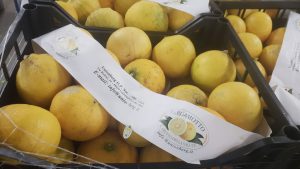 LEMON BERGAMOTE