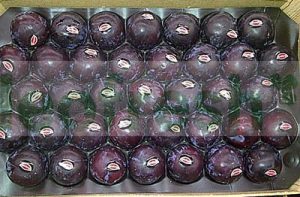 PLUM BLACK
