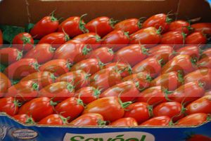 TOMATO SAN MARZANO